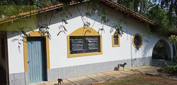 Fazenda / Sítio / Chácara com 3 Quartos à venda, 10570m² no , Piedade