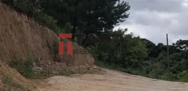 Fazenda / Sítio / Chácara à venda, 7100m² no Botiatuba, Almirante Tamandaré
