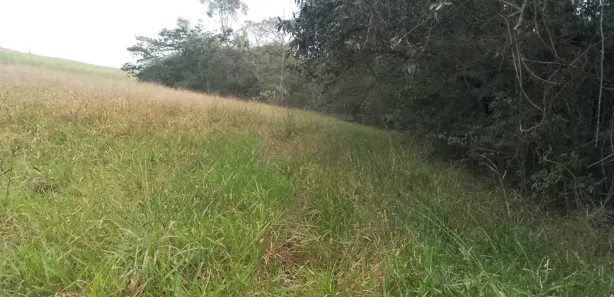 Fazenda / Sítio / Chácara à venda, 48m² no Jardim Flórido, Capivari