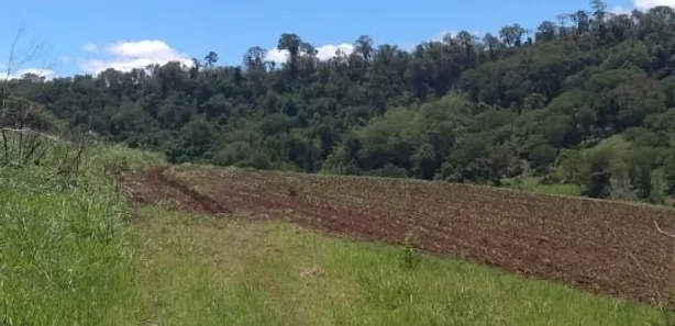 Fazenda / Sítio / Chácara à venda, 145200m² no Jardim Ouro verde, Guairaçá