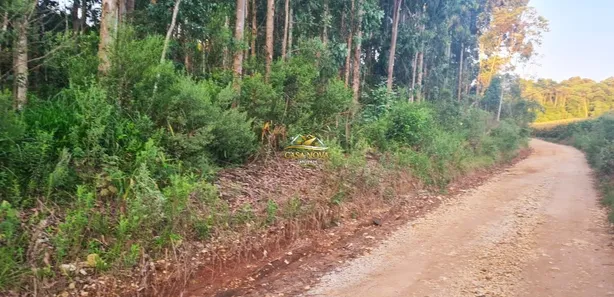 Fazenda / Sítio / Chácara com 1 Quarto à venda, 34550m² no Mato Dentro, Almirante Tamandaré