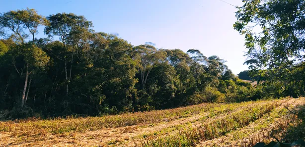 Fazenda / Sítio / Chácara à venda, 12700m² no Restinga Seca, Almirante Tamandaré