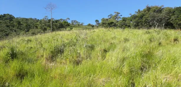 Fazenda / Sítio / Chácara com 1 Quarto à venda, 290000m² no , Rio Bonito