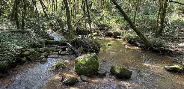 Fazenda / Sítio / Chácara com 5 Quartos à venda, 27500m² no Zona Rural, Campo Magro