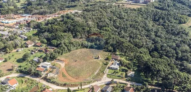 Terreno / Lote / Condomínio à venda, 49000m² no Planta Almirante, Almirante Tamandaré