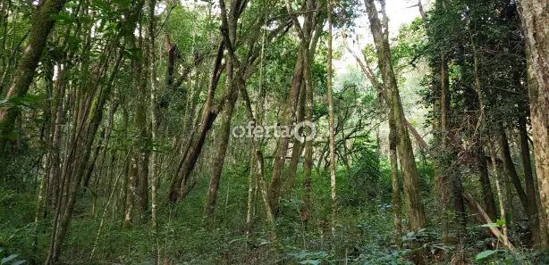 Fazenda / Sítio / Chácara à venda, 21381m² no Área Rural de Araucária, Araucária