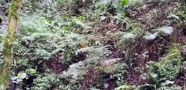 Fazenda / Sítio / Chácara com 1 Quarto à venda, 24200m² no Felpudo, Campo Largo