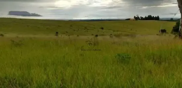 Fazenda / Sítio / Chácara com 2 Quartos à venda, 100m² no , Piedade