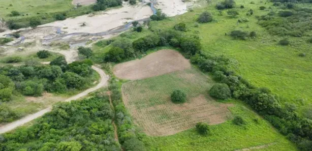 Fazenda / Sítio / Chácara com 3 Quartos à venda, 3000000m² no , Ielmo Marinho