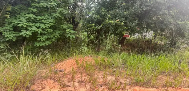 Terreno / Lote / Condomínio à venda, 153m² no Barra do Pojuca (Monte Gordo), Camaçari