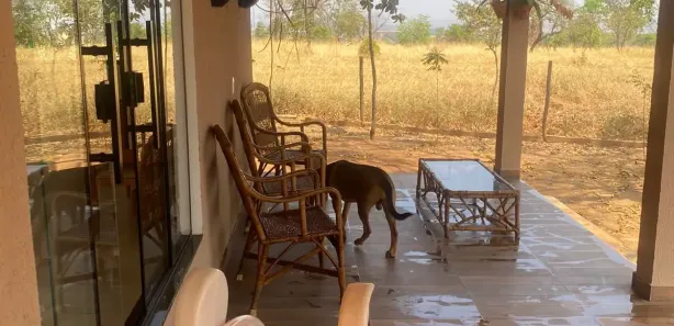 Casa com 1 Quarto à venda, 105m² no , Hidrolândia