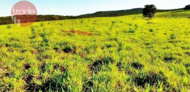 Fazenda / Sítio / Chácara com 2 Quartos à venda, 15800000m² no Setor Central, Pedro Afonso