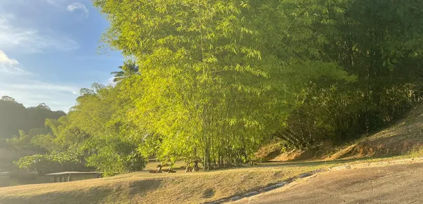 Terreno / Lote / Condomínio à venda, 435m² no Catu de Abrantes (Abrantes), Camaçari