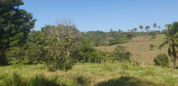 Terreno / Lote / Condomínio à venda, 250m² no Monte Gordo (Monte Gordo), Camaçari