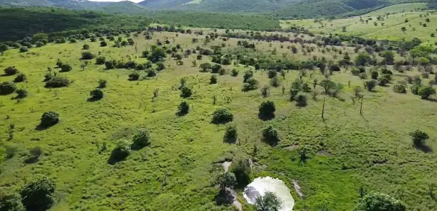 Fazenda / Sítio / Chácara à venda, 2180000m² no Área Rural de Gravatá, Gravatá
