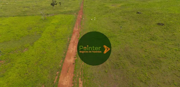 Fazenda / Sítio / Chácara com 3 Quartos à venda, 49029200m² no , Lagoa da Confusão