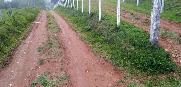 Fazenda / Sítio / Chácara com 2 Quartos à venda, 151000m² no Dos Borges, Embu-Guaçu