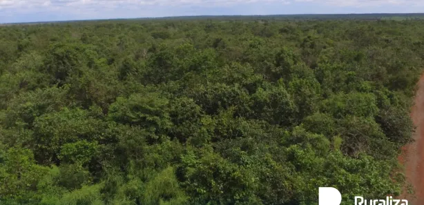 Fazenda / Sítio / Chácara à venda, 571m² no , Lagoa da Confusão