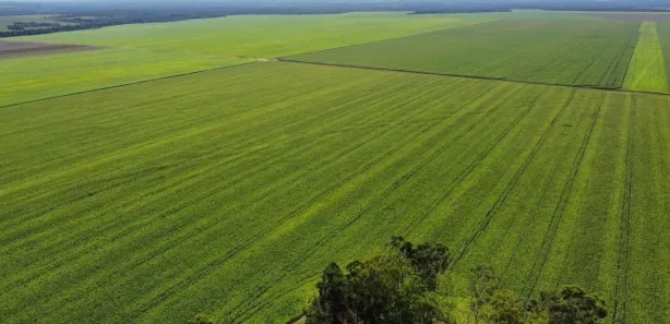 Fazenda / Sítio / Chácara à venda, 2900m² no , Pedro Afonso