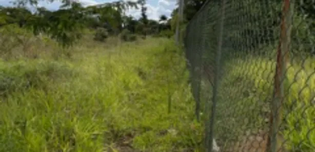 Terreno / Lote / Condomínio à venda, 20000m² no Park Way, Brasília