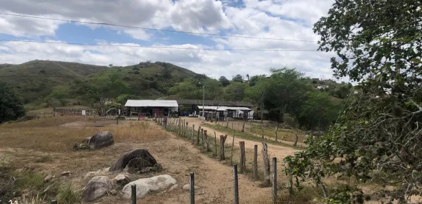 Fazenda / Sítio / Chácara com 3 Quartos à venda, 160000m² no Passira, Passira