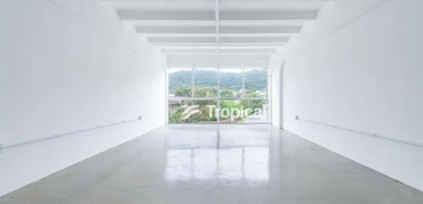 Conjunto Comercial / Sala para alugar, 50m² no Velha Central, Blumenau
