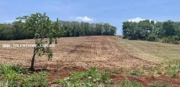 Terreno / Lote Comercial à venda, 192000m² no , Uraí