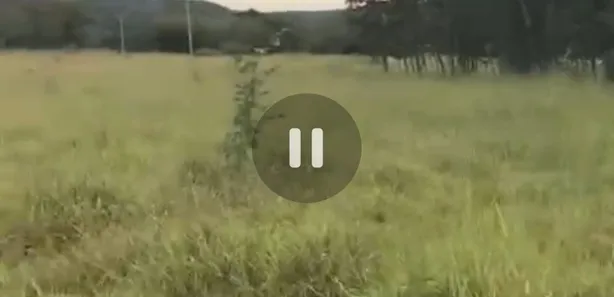 Fazenda / Sítio / Chácara à venda, 155000000m² no Centro, Formosa