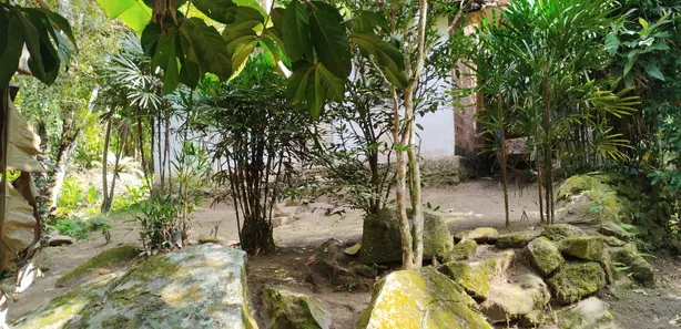 Fazenda / Sítio / Chácara com 2 Quartos à venda, 5000m² no Serra de Mato Grosso (Sampaio Correia), Saquarema