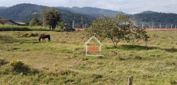 Terreno / Lote Comercial à venda, 46000m² no Belchior Baixo, Gaspar
