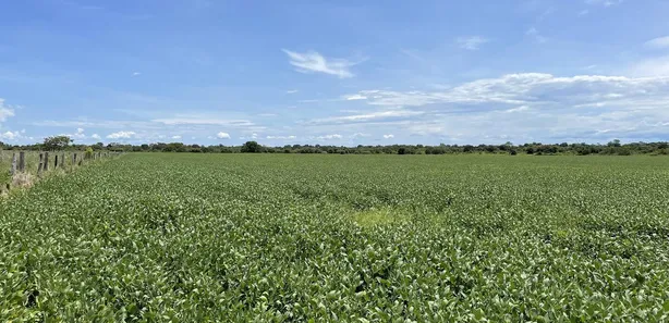 Terreno / Lote / Condomínio à venda, 18800000m² no Centro, Formoso do Araguaia