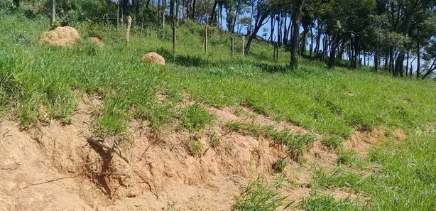 Fazenda / Sítio / Chácara à venda, 53250m² no Estacao de Moreiras, Mairinque