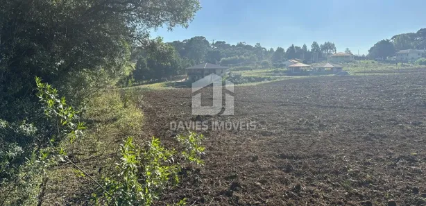 Fazenda / Sítio / Chácara com 6 Quartos à venda, 53000m² no Cachoeira, São José dos Pinhais