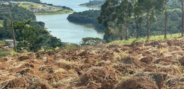 Terreno / Lote / Condomínio à venda, 20000m² no , Joanópolis