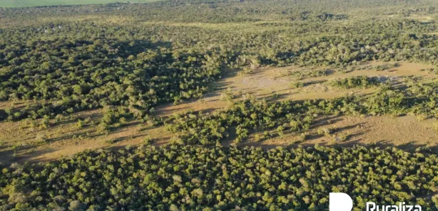 Fazenda / Sítio / Chácara à venda, 590m² no , Pium