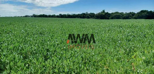 Fazenda / Sítio / Chácara à venda, 21538000m² no , Pedro Afonso