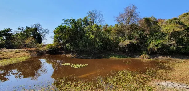 Terreno / Lote / Condomínio à venda, 20000m² no Zona Rural, Fortuna de Minas