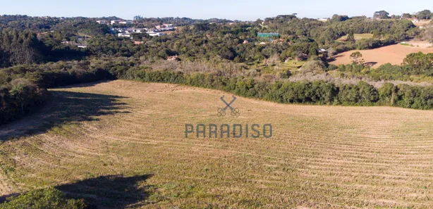 Terreno / Lote / Condomínio à venda, 76000m² no Jardim Pioneiro, Campo Magro