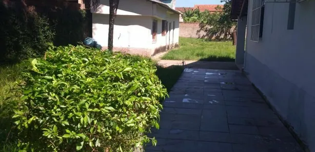 Fazenda / Sítio / Chácara com 3 Quartos à venda, 1500m² no Bazílio, Rio Bonito
