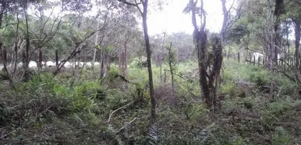 Fazenda / Sítio / Chácara à venda, 14000m² no Gaivota, Itanhaém