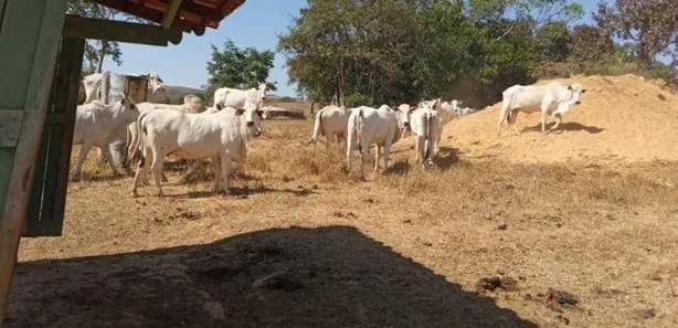 Fazenda / Sítio / Chácara com 5 Quartos à venda, 1600000m² no Área Rural do Gama, Brasília