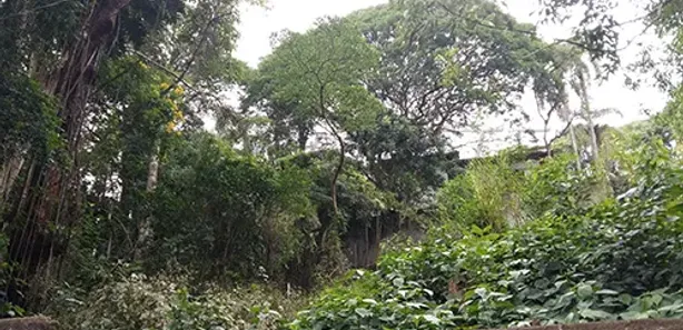 Terreno / Lote / Condomínio à venda, 338m² no Barro Branco (Zona Norte), São Paulo