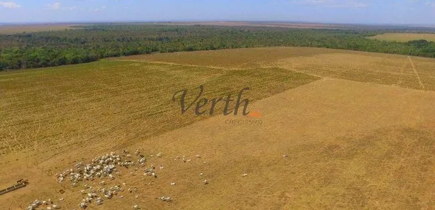 com 1 Quarto à venda, 305m² no , Guaraí