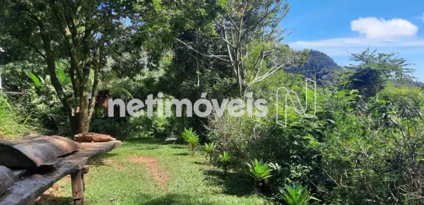 Fazenda / Sítio / Chácara com 3 Quartos à venda, 174m² no Roças Novas, Caeté