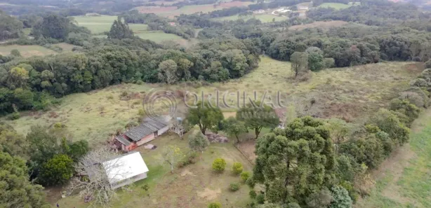 Fazenda / Sítio / Chácara à venda, 44875m² no Tindiquera, Araucária