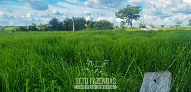 Fazenda / Sítio / Chácara à venda, 13380000m² no Área Rural de Gurupi, Gurupi