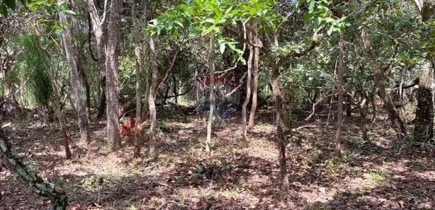 Terreno / Lote / Condomínio à venda, 2187m² no Setor Habitacional Tororó, Brasília