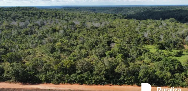 Fazenda / Sítio / Chácara à venda, 653m² no , Rio Sono