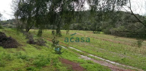 Fazenda / Sítio / Chácara à venda, 54000m² no Zona Rural, Catanduvas