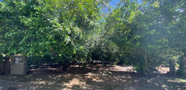 Terreno / Lote / Condomínio à venda, 1000m² no Busca Vida (Abrantes), Camaçari